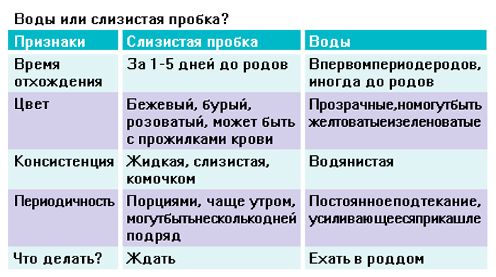 Если отошла пробка через сколько начнутся схватки