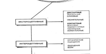 Ощущения какие могут быть