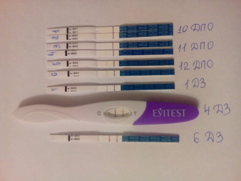 Покажет ли тест беременность через 10 дней. 10 Дней после овуляции покажет ли тест беременность. Тест на 10 день после овуляции. 10 День ДПО тест на беременность. После овуляции 9-10 дней покажет ли тест.