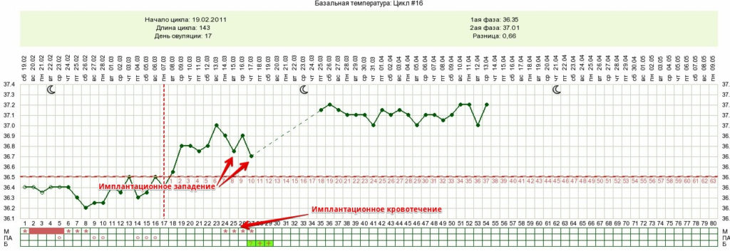 При двойне базальная температура