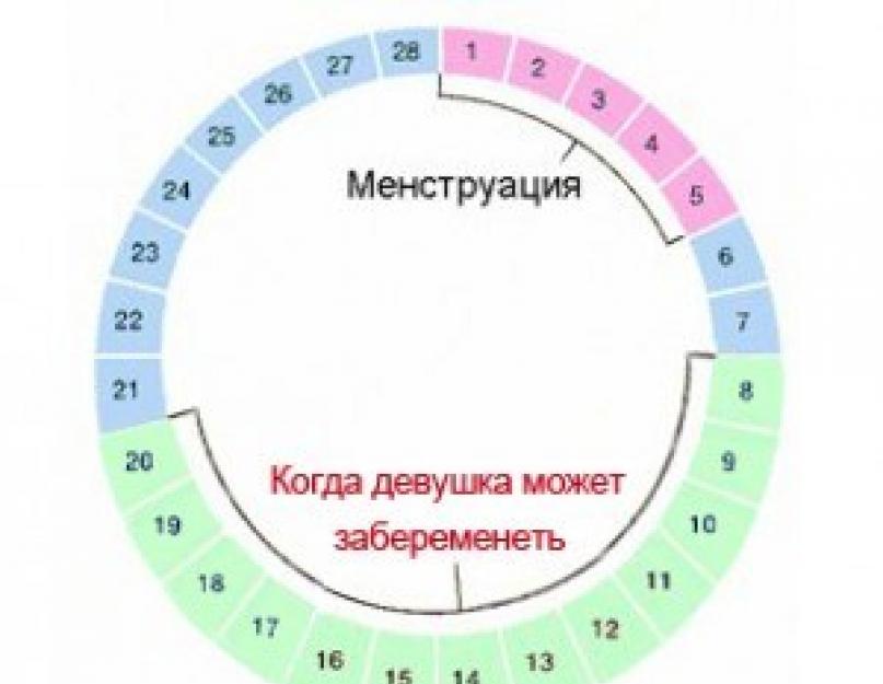 Есть ли вероятность беременности если пошли месячные