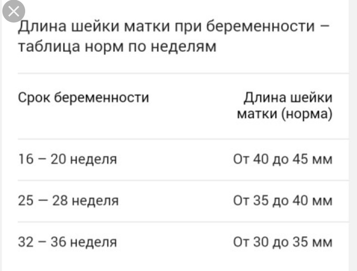 Шейка матки 21 мм при беременности 21 неделя