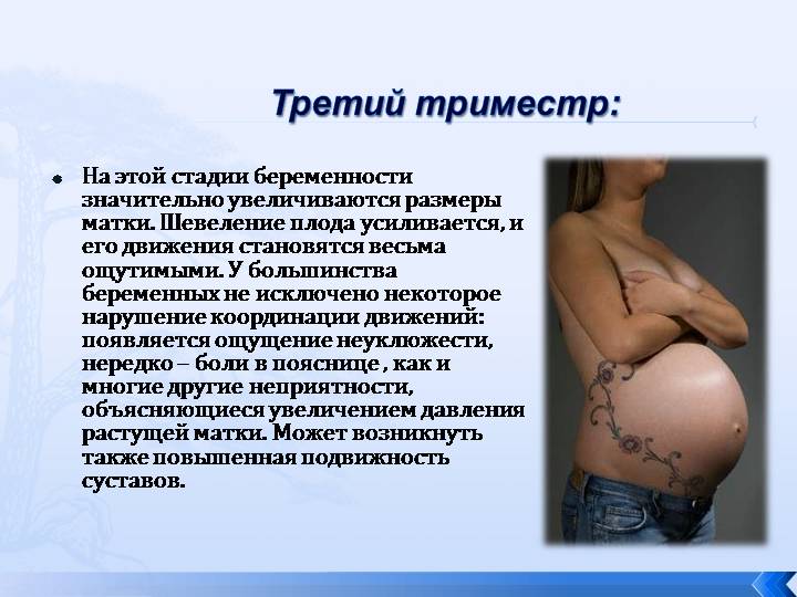При второй беременности когда начинает шевелиться плод при