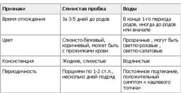 Через сколько времени после отхождения вод начинаются схватки