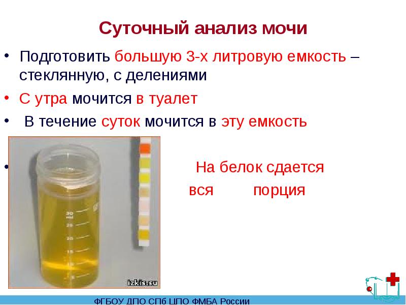 Как собрать суточную мочу на анализ беременным