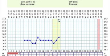5 7 день. 5 День цикла. 7 День цикла. Как понять 5 день цикла. Как высчитать пятый день цикла.