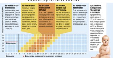 Во время овуляции ппа