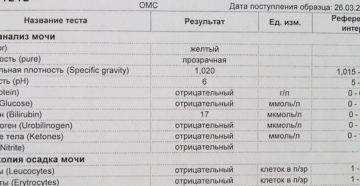 Повышенные лейкоциты в моче у беременной что значит