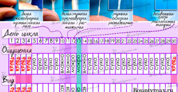 Овуляция как не забеременеть