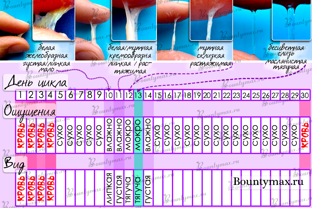 Овуляция как не забеременеть