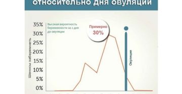 Какая вероятность забеременеть в овуляцию