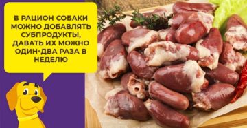 Когда ребенку можно давать субпродукты