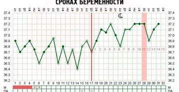 Температура 37 при беременности на ранних сроках форум