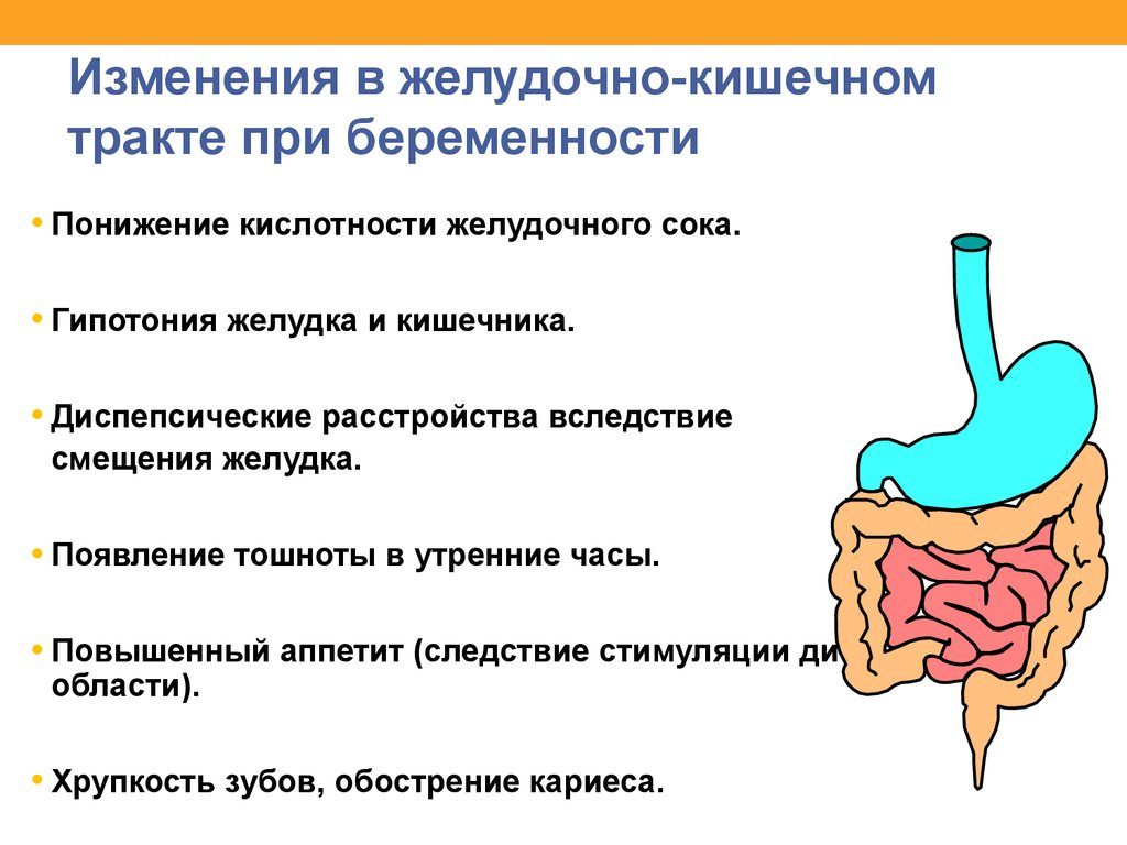 Изменения в жкт при беременности