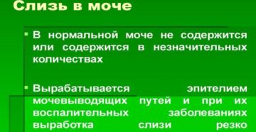 Слизь в моче что это значит при беременности