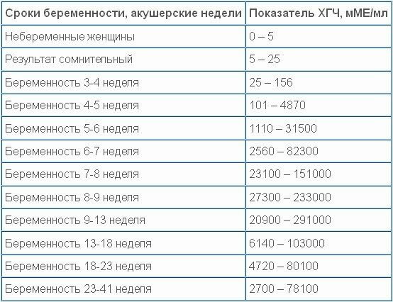 6 неделя беременности акушерский срок