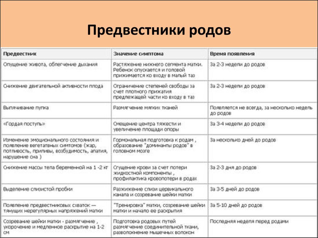 Симптомы схваток при беременности