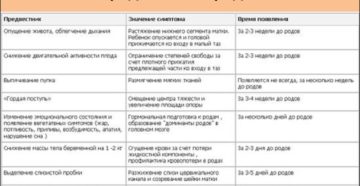 Симптомы схваток при беременности