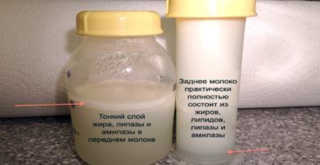 Анализ на жирность грудного молока
