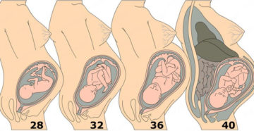 Почему не наступают роды в 40 недель беременности