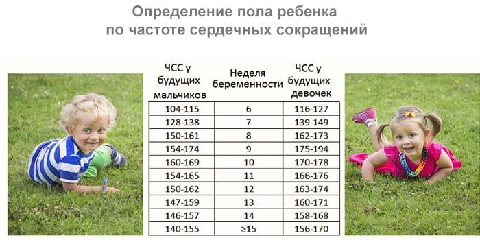 Как определить пол по чсс