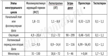 Норма лг и фсг на 3 день цикла