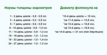 Какой должен быть эндометрий на 9 день цикла