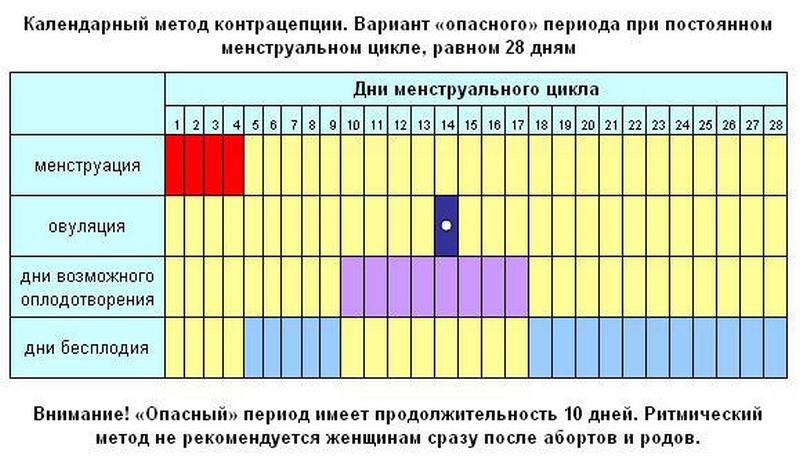 Таблица менструационного цикла и зачатия