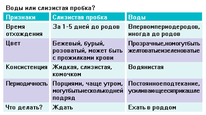 Как воды отходят у беременных через сколько рожают