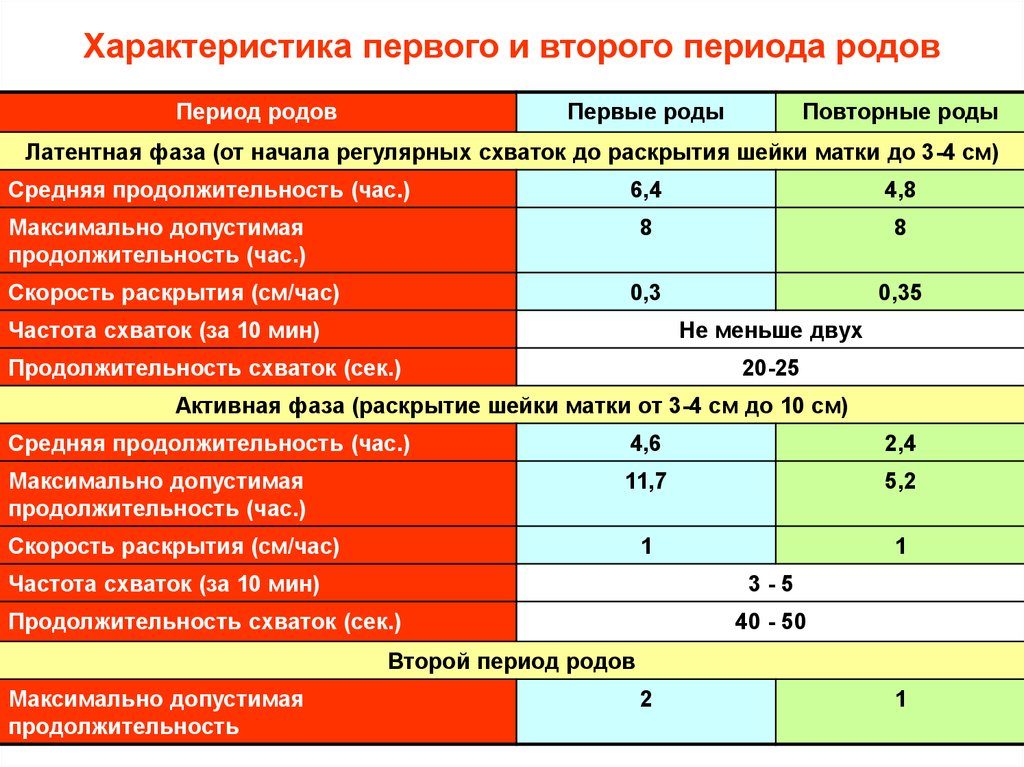 Сколько времени длятся схватки