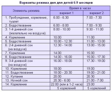 Режим для 6 месячного ребенка на грудном вскармливании