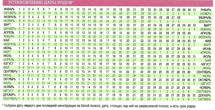 Роды в сентябре когда зачатие