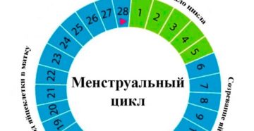 На какой день менструального цикла