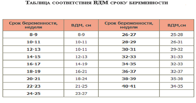 Дно матки по неделям фото