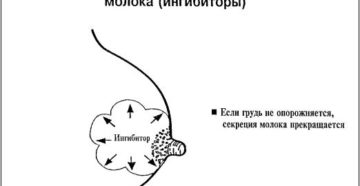 Как может перегореть грудное молоко