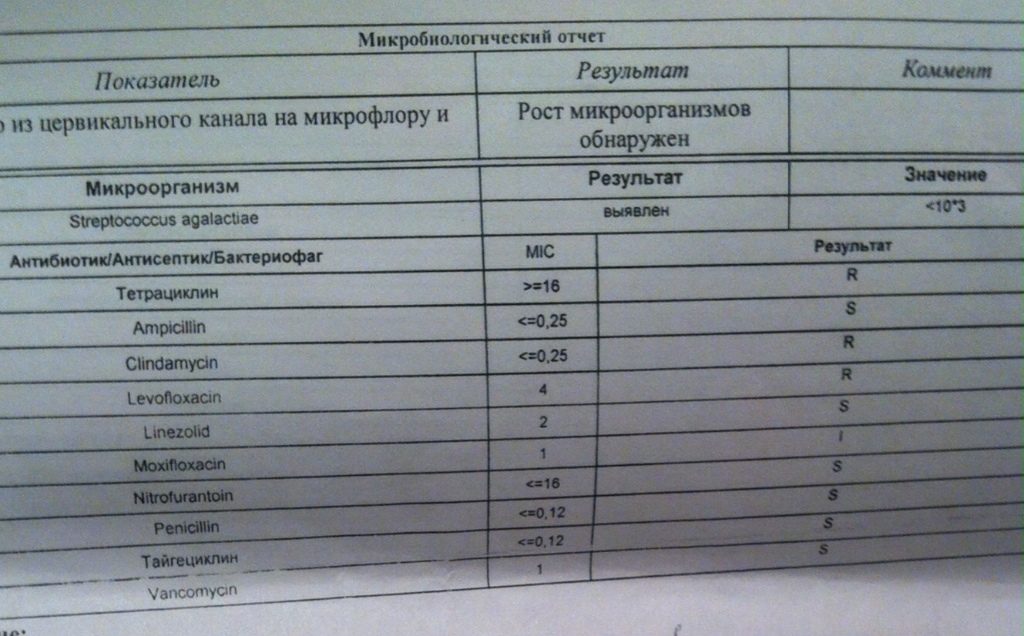 Стафилококк в посеве мочи