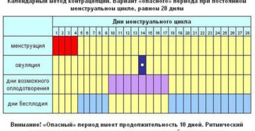 График менструационного цикла для зачатия