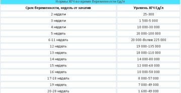 Низкий уровень хгч при беременности на ранних сроках