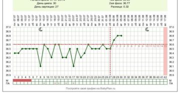 Может ли быть имплантация на 28 день цикла