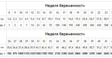 Рост и вес ребенка на 22 неделе беременности