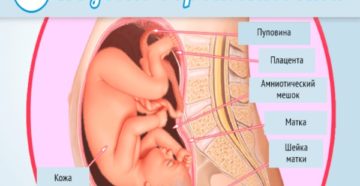 Развитие плода 37 неделя беременности