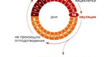 Можно ли забеременеть месячных в последние дни месячных