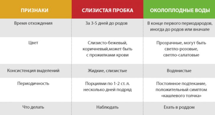 Сколько отходит пробка перед родами у повторнородящих