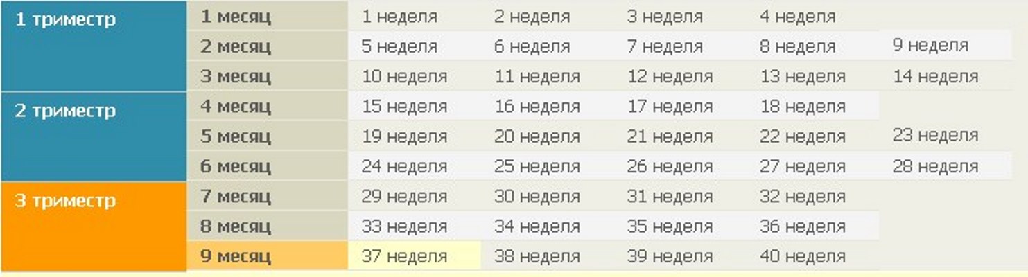 1 месяц 32 сутки. Недели беременности по месяцам таблица. Недели и месяцы беременности. Триместры беременности по неделям. Триместры беременности по месяцам и неделям.