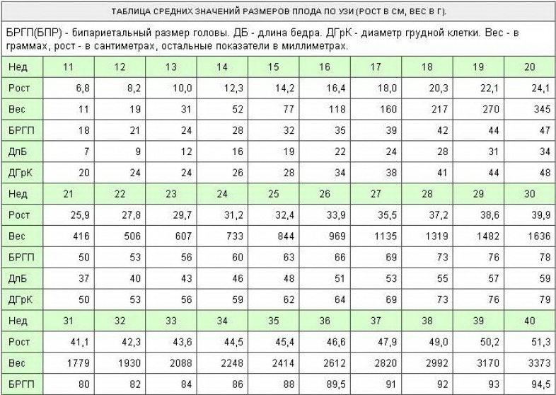 Параметры плода по неделям