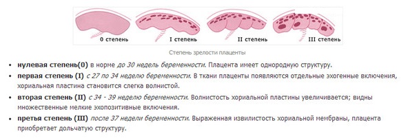 Плацента когда начинает стареть