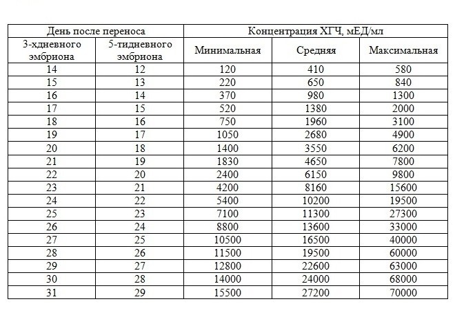 Форум после переноса хгч