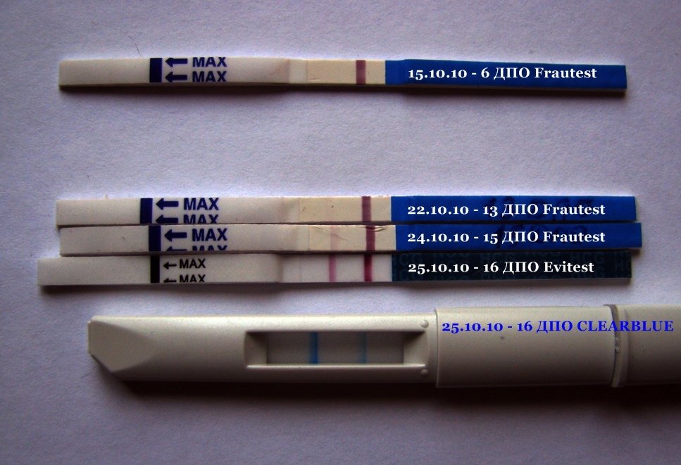 Тест 6 метров. Тест на беременность на 6 день после овуляции. 6 ДПО тест на беременность. Тесты на беременность по дням ДПО. 6 День ДПО тест на беременность.