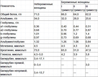 Билирубин общий у беременных