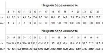 33 недели беременности вес ребенка норма по узи